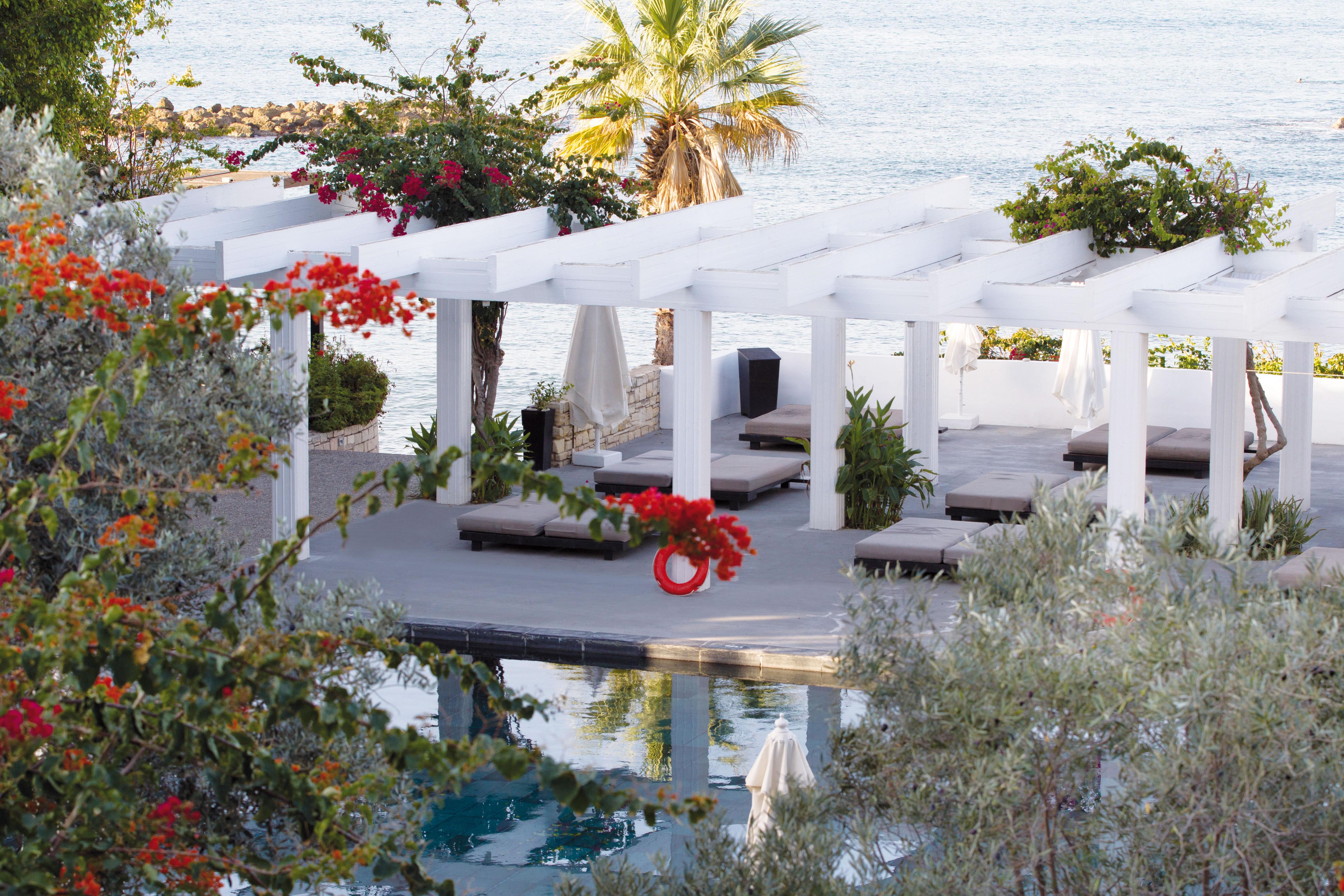 Almyra Hotel Paphos Ngoại thất bức ảnh Pergola